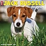 2027 Willow Creek Jack Russell Puppies 12" x 12" Monthly Wall Calendar (60827)~#|#~E089C24D-7BEB-4CC8-98218E8AB0EC76A4_sc7