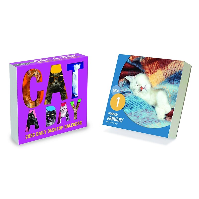 2026 TF Publishing 5.25" x 5.25" Daily Day-to-Day Calendar, (26-3002) image 1