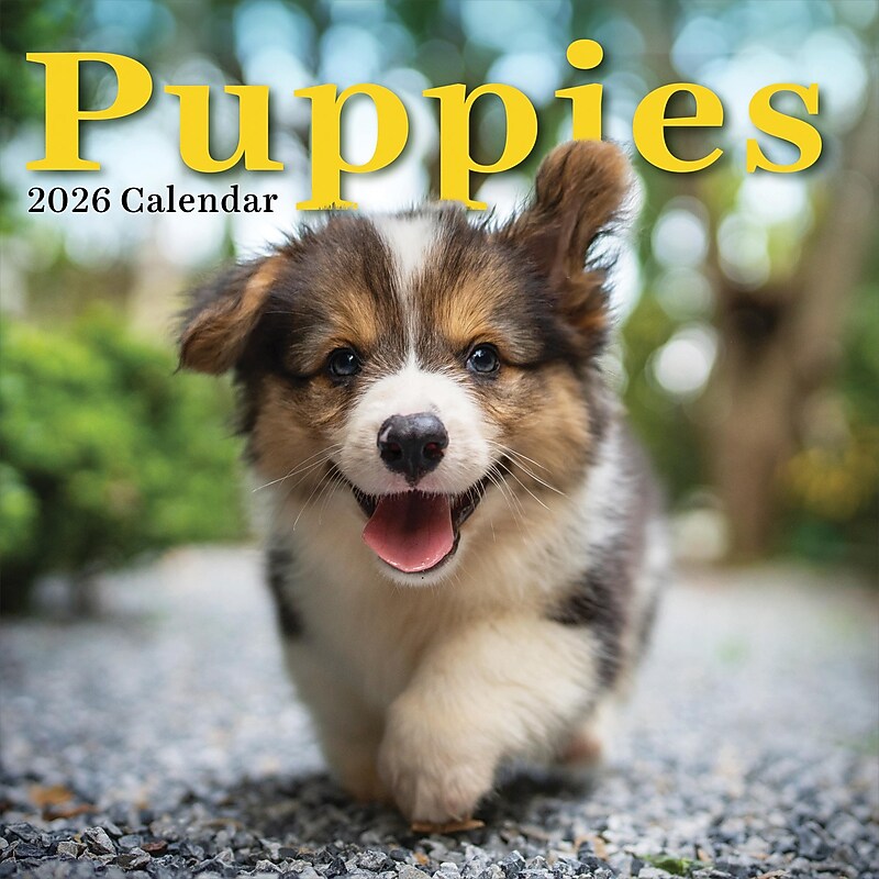 2026 TF Publishing Puppies 12" x 12" Monthly Wall Calendar, Multi (26-1025) image 1
