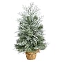 Nearly Natural Winter Frosted Artificial Christmas Tree, 2' (T3328)~#|#~E0E43946-BBF3-4418-AF61F60F6073623D_sc7