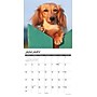 2027 Willow Creek Miniature Dachshunds 12" x 12" Monthly Wall Calendar, Assorted Colors (61206)~#|#~E0F33821-13E8-44B4-88D5F5478DDF3B4B_sc7