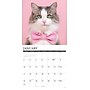 2027 Willow Creek 12" x 12" Monthly Wall Calendar, Assorted Colors (62883)~#|#~E0F4D1DB-BA27-497D-898B983A5CE1F9FF_sc7