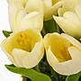National Tree Company 10" Light Yellow Tulip Bouquet in White Basket (MT81-0926GLYW-1)~#|#~E0F5C5C8-7D11-4B21-AED3FA4A940352BD_sc7