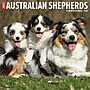 2026 Willow Creek Australian Shepherds 12" x 12" Monthly Wall Calendar (49983)~#|#~E0FCC611-2377-4EEA-B0854E1F7AA33F32_sc7