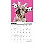 2026 Willow Creek Pardon My Frenchie 12" x 12" Monthly Wall Calendar (52310)~#|#~E10EB4FA-4478-46FC-8E5B864FAB46F417_sc7