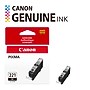 Canon 221 Black Standard Yield Ink Cartridge (2946B001)~#|#~E12081D6-58E1-4DF6-94B33084A62AE9ED_sc7