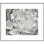 Amanti Art The White Calico Flower 1931 by Georgia O'Keeffe Wood Framed Wall Art Print, 41" x 36" (A42675530275)~#|#~E1265D56-8BE2-4484-823E4B8FDCAB58D2_sc7