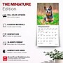 2027 BrownTrout Blue Heelers 7" x 7" Monthly Wall Calendar, Assorted Colors (9798330709908)~#|#~E12B2133-3916-47A5-A7F3FD27E4B193E7_sc7