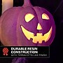 Haunted Hill Farm 3-Piece Spooky Lighted LED Jack O Lantern Set, Battery Operated, Rustic Orange (HHRSSET3PMP-ORG)~#|#~E12D0ABC-F646-43AE-BD947AD1978AB040_sc7