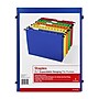 Staples® Hanging File Folder, 3.5" Expansion, Letter Size, Assorted, 5/Pack (TR36330/36330)~#|#~E14AD3C8-B593-4F77-84DFEDC1178561C6_sc7