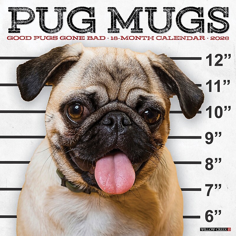 2026 Willow Creek Pug Mugs 12" x 12" Monthly Wall Calendar (52488) image 1
