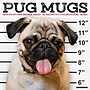2026 Willow Creek Pug Mugs 12" x 12" Monthly Wall Calendar (52488)~#|#~E14E3BA0-D532-4752-A05EAC4D450CCF4C_sc7