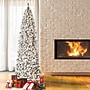National Tree Company 9' Pre-Lit Acacia Artificial Christmas Tree (AC100-300-90F)~#|#~E1750868-B379-48BC-BD0EB6411645CA3F_sc7
