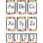 Teacher Created Resources Wildflowers Alphabet Bulletin Board Set, 37/Set (TCR6818)~#|#~E18CDDEE-1F1B-4D92-82EE9B58AF714BE4_sc7