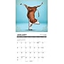 2027 Willow Creek Cow Yoga 7" x 7" Monthly Wall Calendar (63965)~#|#~E18F80A9-FA98-4572-8ED3FF58661430EC_sc7