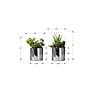 Monarch Specialties Inc. 7" Artificial Succulent Plant in Pot, 2/Set (I 9550)~#|#~E199D90E-1DDD-4082-8A2D038D1137AFA3_sc7