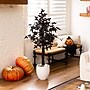 Nearly Natural Artificial Halloween Black Maple Tree, 4' (T5155)~#|#~E199F66D-B06E-428B-A8CD20952F6E40E0_sc7