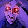 Haunted Hill Farm Lifesize Animatronic Witch (HHWITCH-51FLSA)~#|#~E19D4709-5D6D-40A9-89927D98D938485A_sc7