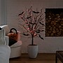 Nearly Natural Pre-Lit Artificial Halloween Black Twig Tree, 4' (T5204)~#|#~E19F1345-04EF-4E64-81A388DFD7244C6B_sc7