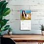 2027 BrownTrout Horse Lovers 7" x 7" Monthly Wall Calendar (9798330709823)~#|#~E1A4AEE1-9136-4F32-92A8329C1827A1A3_sc7