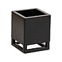 Mind Reader Pen Holder, Black (PENWD-BLK)~#|#~E1C67DE5-C10E-4A12-86E5FA7DC93EB7F7_sc7