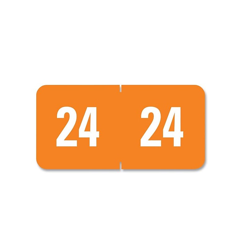 Medical Arts Press Smead Compatible Small End-Tab 2024 Year Label, Orange, 250/Pack (3266 image 1