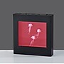 Simplee Adesso 8.75"H LED Jellyfish Motion Light Box, Black (SL3723-01)~#|#~E1E1BF81-EF60-4A82-B368039029EE06A8_sc7