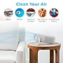 Pure Enrichment PureZone Mini True HEPA Portable Air Purifier, 3-Speed, White (PEPERSAP)~#|#~E20AAD49-A22E-4A8C-A00B71374915C7A0_sc7