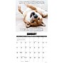 2026 Willow Creek Dog-Gone-It 12" x 12" Monthly Wall Calendar (50996)~#|#~E20AECD8-A96D-4752-AA1A6072EA1E506F_sc7