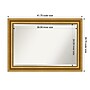 Amanti Art Parlor Gold Frame Wall Mirror, 29.75" x 41.75" (A42674593613)~#|#~E213A2CA-6E5A-4315-AE5D488D79284E8D_sc7