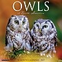 2027 Willow Creek Owls 12" x 12" Monthly Wall Calendar (61664)~#|#~E22523F4-02F4-4346-B033F1B6DF258348_sc7