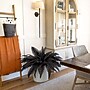 Nearly Natural Artificial Halloween Black Boston Fern - Set of 2, 48", 2/Set (P2198-S2)~#|#~E2362A86-5FD1-407B-8D1E54C89B5F4733_sc7