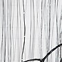 Nearly Natural Pre-Lit Artificial Halloween Black Willow Tree, 7' (T5206)~#|#~E23FB5ED-6860-4185-AE59EC926D7E2370_sc7