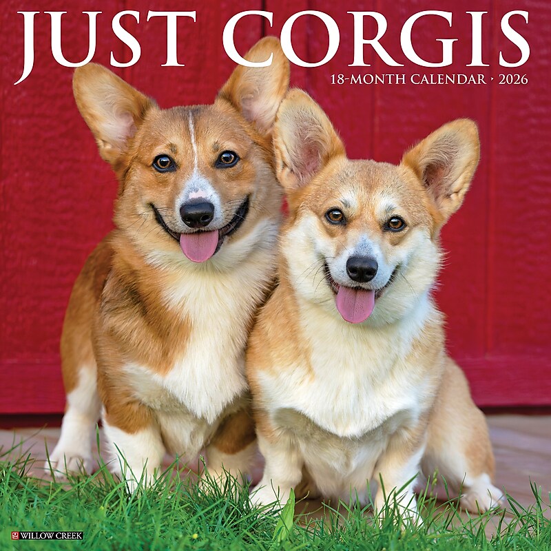 2026 Willow Creek Corgis 12" x 12" Monthly Wall Calendar (50835) image 1