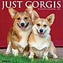2026 Willow Creek Corgis 12" x 12" Monthly Wall Calendar (50835)~#|#~E249BF76-5485-48CF-8F52DC87FBE0C7D3_sc7