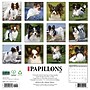 2027 Willow Creek Papillons 12" x 12" Monthly Wall Calendar, Assorted Colors (61718)~#|#~E24F3E2B-401F-4670-AD60EF2139A39A77_sc7