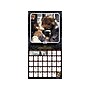 2025 DateWorks Star Wars 12" x 12" Monthly Wall Calendar (254154)~#|#~E264EC3C-B2DB-4D37-930110F592A7A8BB_sc7
