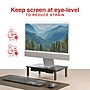 Staples TECH Adjustable Monitor Stand with Drawer, Black (ST62819-CC)~#|#~E276E54D-2BAB-4A81-AE9693BDD2551854_sc7