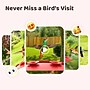 Birdfy Smart Hummingbird Feeder Ruby with Camera and AI by Subscription, Red (EPPAMBNI8902100)~#|#~E29531E6-3E11-40F3-B5C31FBF88671A3B_sc7