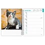 2026 BrownTrout Kittens 6.5" x 7.75" Weekly Planner (9798330704125)~#|#~E2D5EB2F-2E94-4499-8F541C9C456C17BC_sc7
