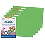Prang 12" x 18" Construction Paper, Bright Green, 50 Sheets/Pack, 5 Packs/Bundle (PAC9607-5)~#|#~E2D64E4E-FA10-48F3-B7B99FCFFE3A734E_sc7