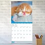 2026 TF Publishing Cat Dreams 12" x 12" Monthly Wall Calendar, Multi (26-1003)~#|#~E2DE94C4-28E5-48C8-B4CBCBEEC30F995F_sc7