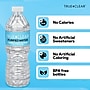 True Clear™ Purified Water, 16.9. oz., 24 Bottles/Carton (TC54594)~#|#~E2EA9F62-4672-4EDF-A8CCA6108ECC5EEB_sc7