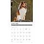 2027 Willow Creek Collies 2027 12" x 12" Monthly Wall Calendar, Assorted Colors (59814)~#|#~E2EC280B-1485-42BE-BFED1BD261C6F6A5_sc7