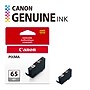 Canon 65 GY Gray Standard Yield Ink Cartridge (4219C002)~#|#~E2F984A3-80F1-408A-91E60AAFC7532ABF_sc7