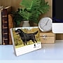 2026 Willow Creek Just Labs 6.2" x 5.4" Day-to-Day Calendar (54277)~#|#~E3225C86-A474-48E3-A758E4CC9319C656_sc7