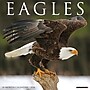 2026 Willow Creek Eagles 12" x 12" Monthly Wall Calendar (51030)~#|#~E32C9BCD-61A3-4BA5-8673130FFABE16DE_sc7