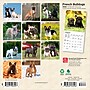 2026 BrownTrout French Bulldogs 7" x 7" Monthly Wall Calendar (9798330703296)~#|#~E32EF7B8-9397-47B7-94A237B5EDDE7E56_sc7