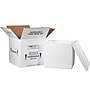 12" x 12" x 11.5" Insulated Shipping Containers, White (230C)~#|#~E342D3EA-400E-4587-B65CF5BAFC5E6EAB_sc7