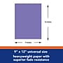 Tru-Ray 9" x 12" Construction Paper, Violet, 50 Sheets/Pack, 5 Packs/Bundle (PAC103009-5)~#|#~E35EBD09-A032-4AB7-B6B573F5272340D9_sc7